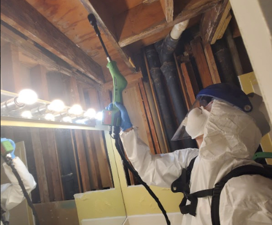 mold remediation in an attic